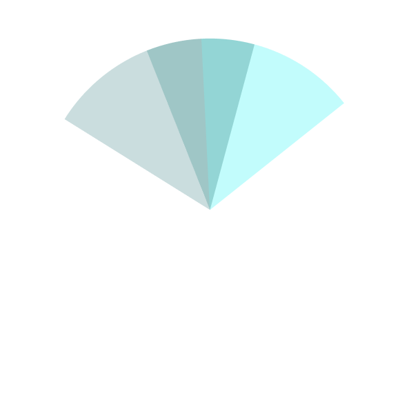 Token Allocation